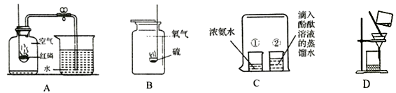 图片_x0020_100016
