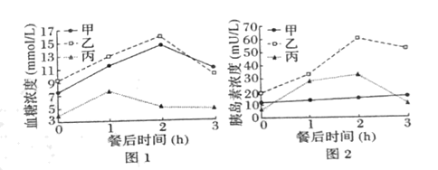 图片_x0020_100019