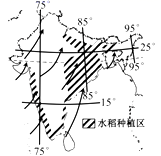 图片_x0020_353446014