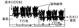 图片_x0020_100006