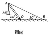 图片_x0020_1859829462