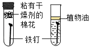 图片_x0020_100004
