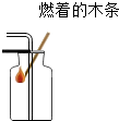 图片_x0020_100003