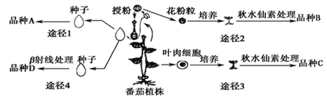 图片_x0020_100030