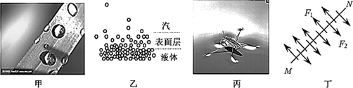 图片_x0020_100013