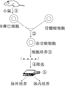 图片_x0020_879460779