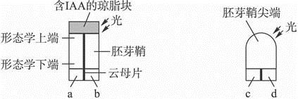 图片_x0020_100001