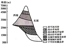 图片_x0020_100011