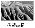 图片_x0020_100002