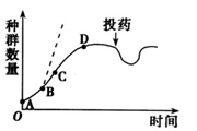 图片_x0020_1308008180