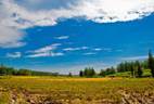 图片_x0020_18
