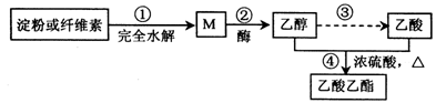 图片_x0020_100013