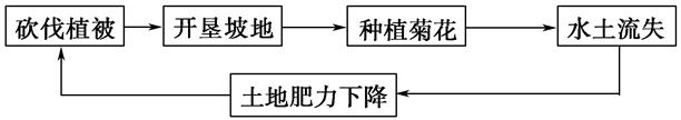 图片_x0020_100014