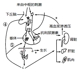 图片_x0020_2032756590