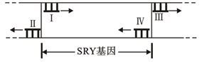 图片_x0020_1638899859