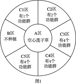 图片_x0020_1678493945
