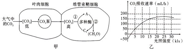 图片_x0020_1848283853