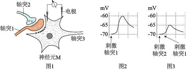图片_x0020_100003