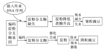 图片_x0020_112079370