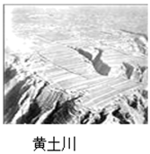 图片_x0020_100007