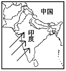图片_x0020_44966363