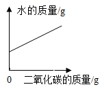 图片_x0020_100029