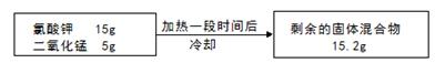图片_x0020_100029