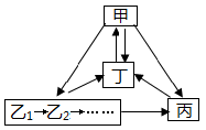 图片_x0020_595772612