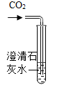 图片_x0020_1469234967
