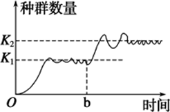 图片_x0020_100009