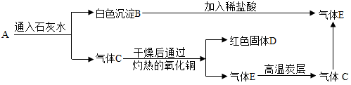 图片_x0020_100017