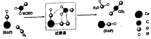 图片_x0020_100015