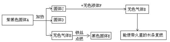 图片_x0020_100006