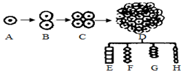 图片_x0020_100004
