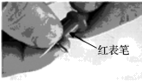 图片_x0020_100007