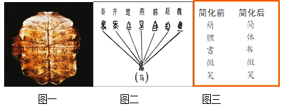 图片_x0020_100006