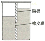 图片_x0020_100021