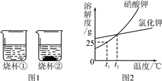 图片_x0020_618306802
