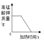 图片_x0020_2083128381