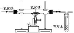图片_x0020_1014328938