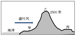 图片_x0020_606015059