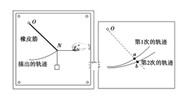 图片_x0020_100019