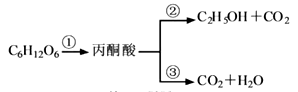 图片_x0020_100001