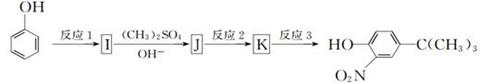 图片_x0020_1555860926