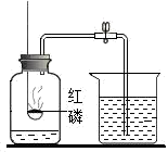 图片_x0020_100006