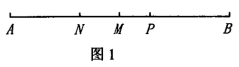 图片_x0020_100016