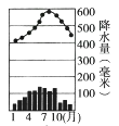 图片_x0020_13