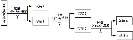 图片_x0020_100009
