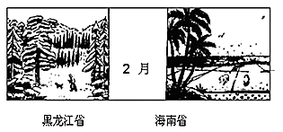 图片_x0020_100001