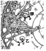 图片_x0020_434467951
